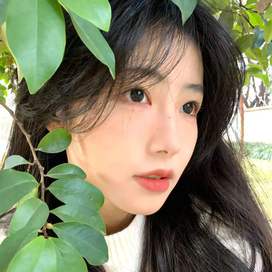 我和春天有个约会国语